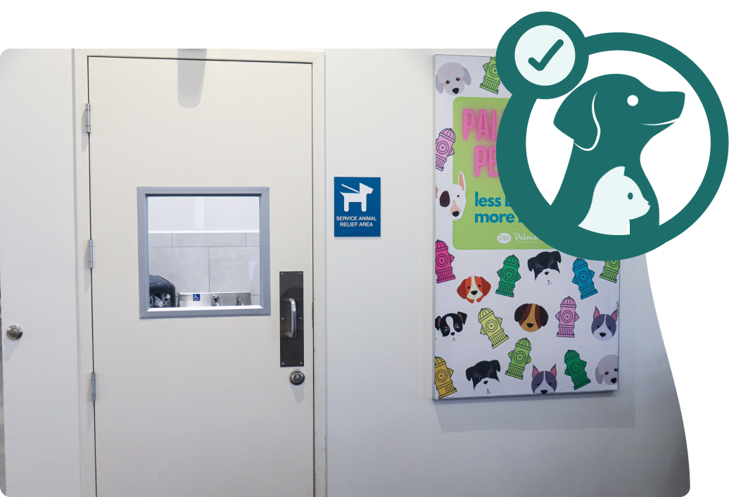 A designated service animal relief area at an airport, with a door labeled for accessibility and a colorful dog-themed poster on the wall.