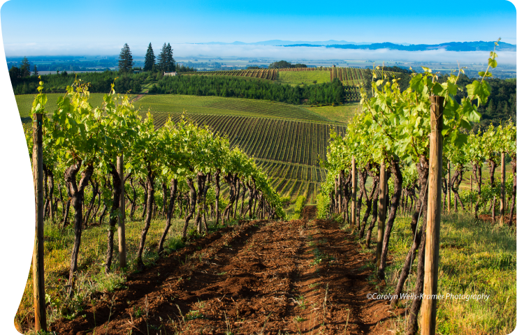 Visit McMinnville