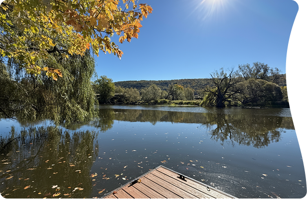 Let's plan an experience you will cherish forever!