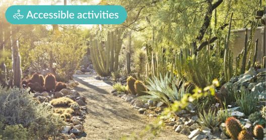Seven accessible things to see and do in Tucson, Arizona
