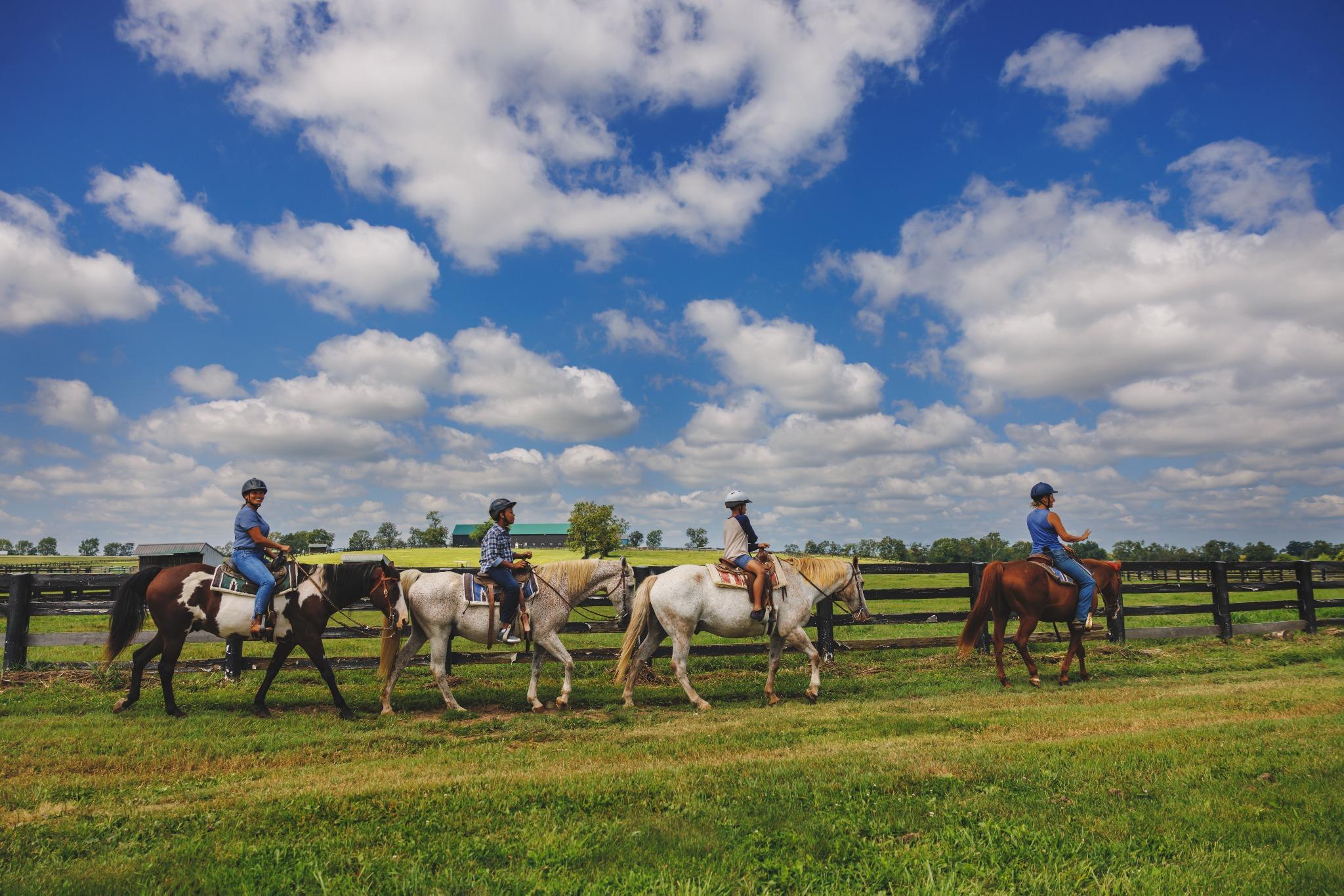 Discover Lexington: history, horses, and beyond