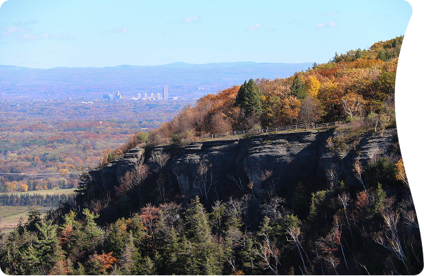 Let's plan an experience you will cherish forever!