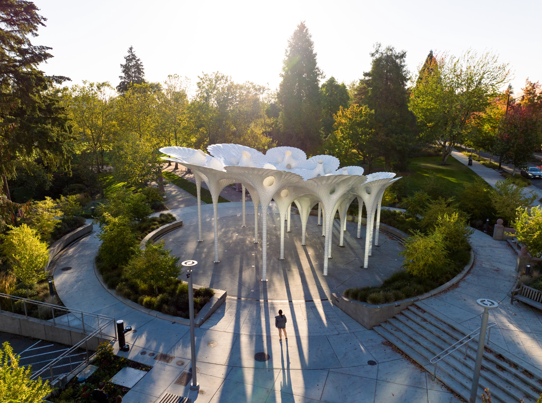 Accessible Travel Itineraries in Bellevue