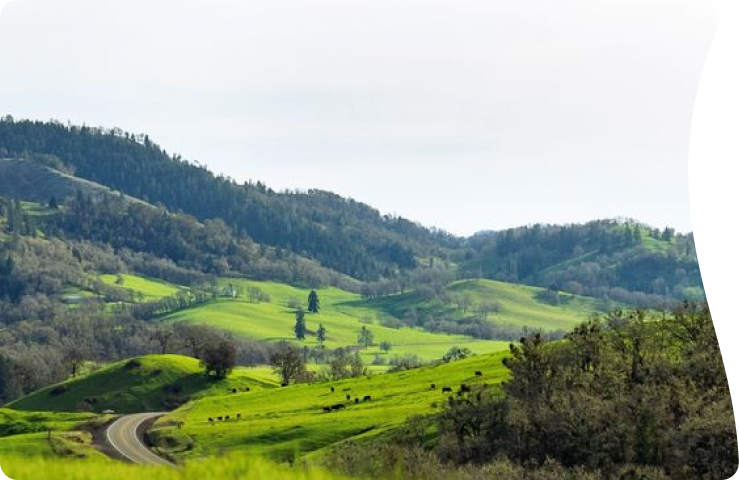 Let's plan an experience you will cherish forever!