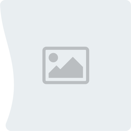 Sunflower Lanyard program