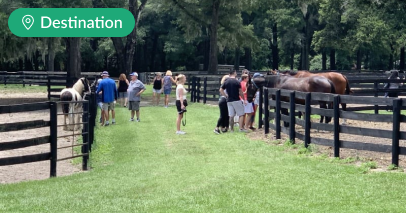 13 Accessible Things to do in Ocala, Florida