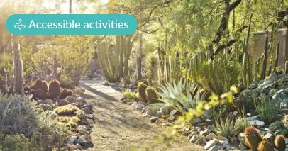 Seven accessible things to see and do in Tucson, Arizona
