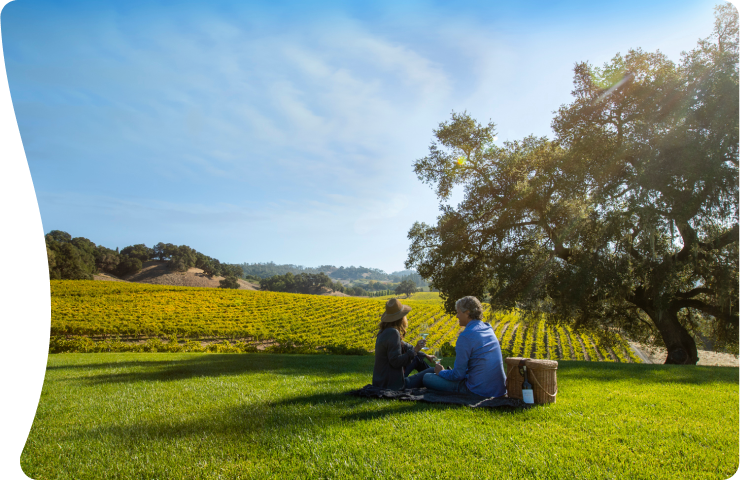 Explore Accessible Sonoma County