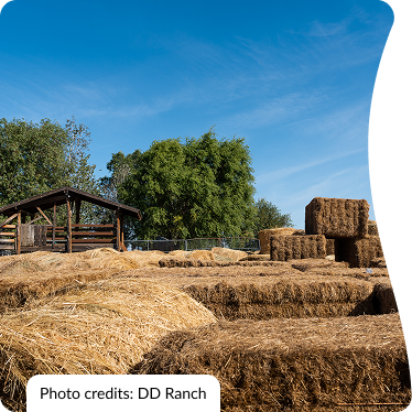 Let’s plan an experience you will cherish forever!