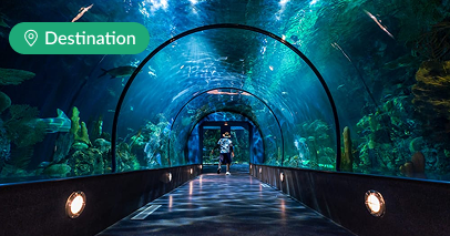 Your Accessible Guide to Galveston, TX