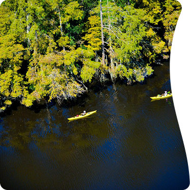 Let’s plan an experience you will cherish forever!