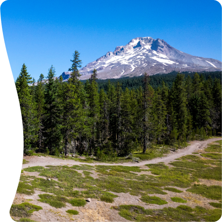 Visit Upper Mt. Hood