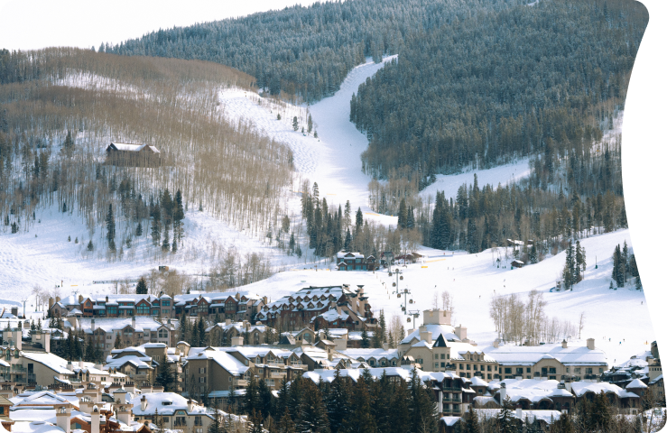 Let's plan an experience you will cherish forever!