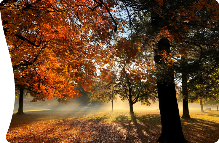 Discover Saratoga: Where Horses, History, and Culture Come Alive