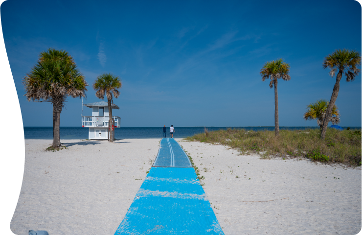 Discover St.Pete-Clearwater: Sun, Sea, and Culture