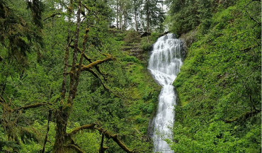 Munson Creek Falls State Natural Site