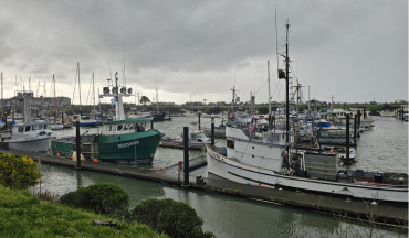 Port of Brookings Harbor