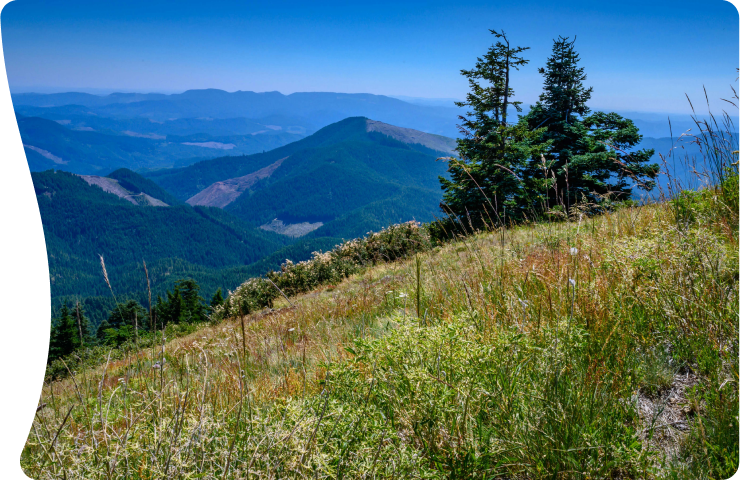 Discover Corvallis: a vibrant university town with nature at its doorstep