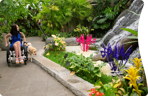 Let's plan an experience you will cherish forever!