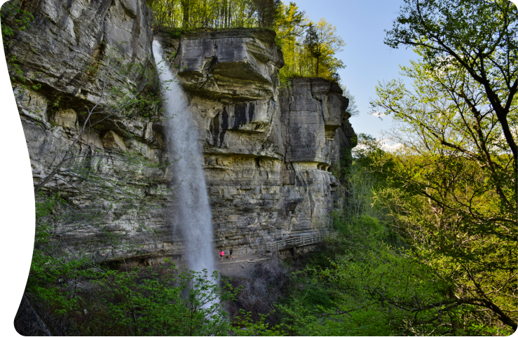 Discover Albany: where American history meets vibrant storytelling