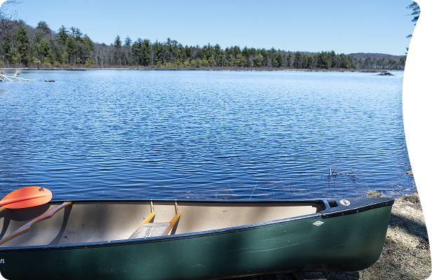 Let's plan an experience you will cherish forever!