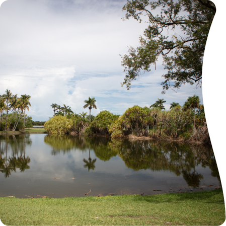 A scenic pond surrounded by lush greenery and palm trees. The sky is partly cloudy.