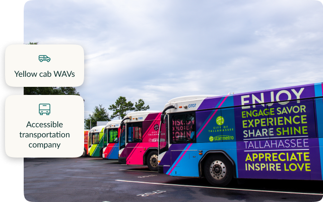 Getting around Tallahassee