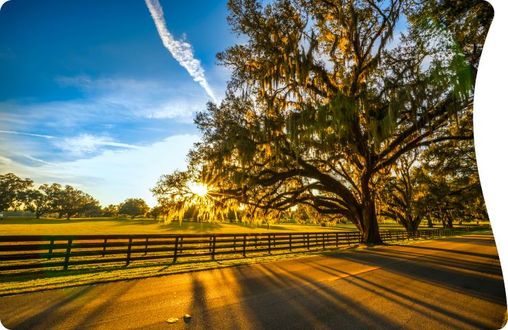 Let's plan an experience you will cherish forever!