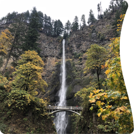 Let’s plan an experience you will cherish forever!