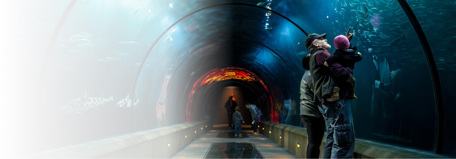 A family explores an underwater tunnel at an aquarium, surrounded by marine life swimming above and beside them. The tunnel is illuminated with a soft blue light, highlighting fish, sharks, and other sea creatures visible through the curved glass walls. A father holds a young child and points upward toward the aquatic scene. The vibrant underwater environment creates an immersive and awe-inspiring experience.