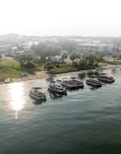 Pontoon boats float near the shoreline in Panama City, Florida, with sunlight shimmering on calm waters. Palm trees, green spaces, and buildings create a serene coastal backdrop.