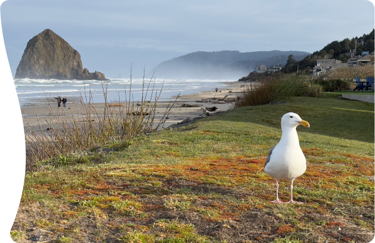 Cannon Beach: art, nature, and the spirit of the coast