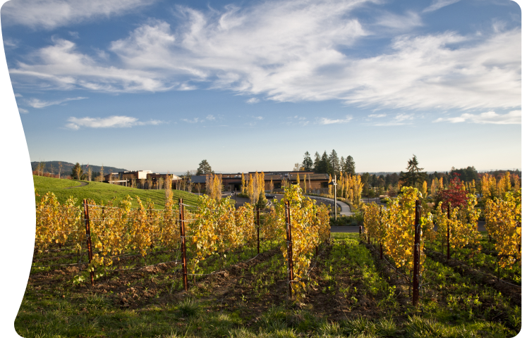 Discover Newberg: where wine country charm meets cultural treasures.