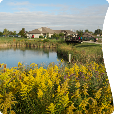 An image showing a farm with a lake and some flowers 