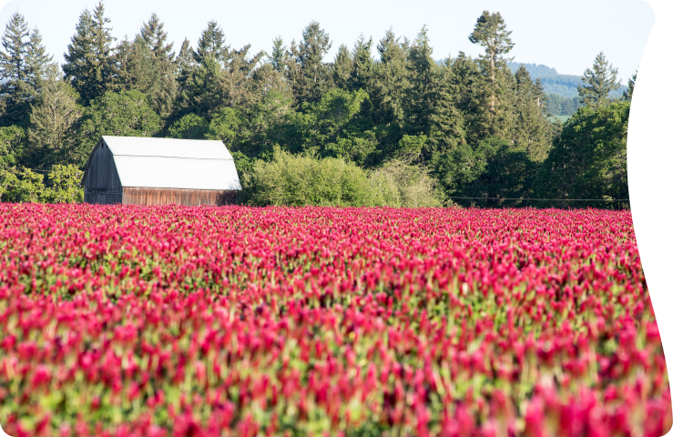 Let's plan an experience you will cherish forever!