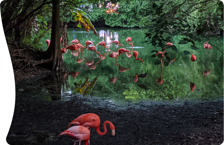 Discover Jacksonville: Urban Charm and Coastal Splendor