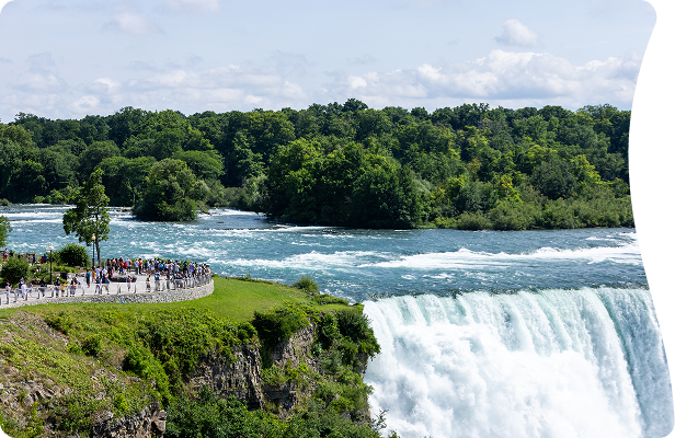 Let's plan an experience you will cherish forever!