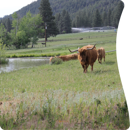 Let’s plan an experience you will cherish forever!