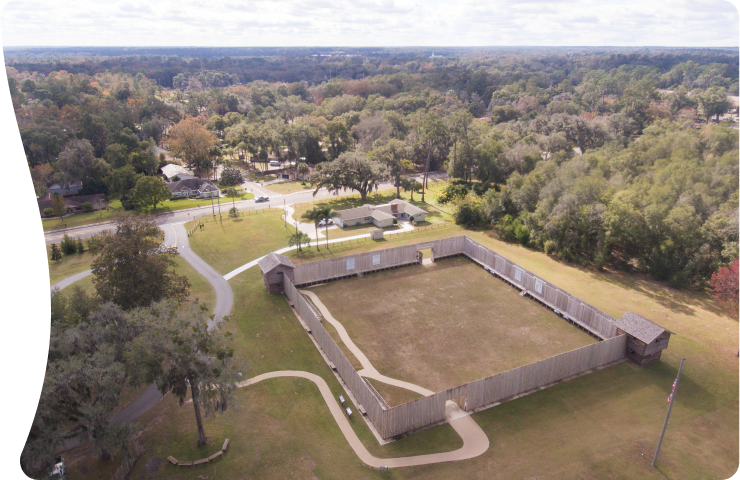 Discover Ocala: equestrian excellence and natural beauty
