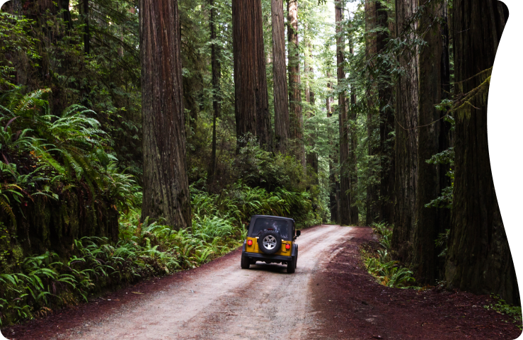 Let's plan an experience you will cherish forever!