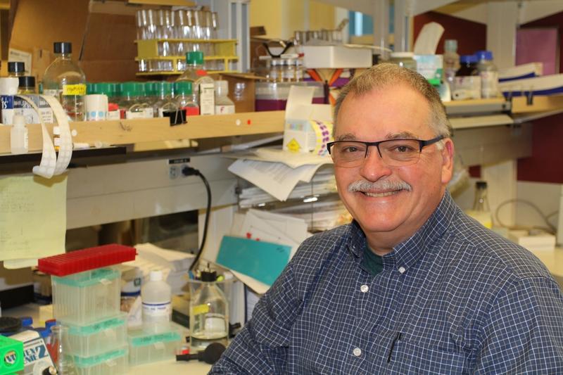 Presidents Column Q3 – 2019