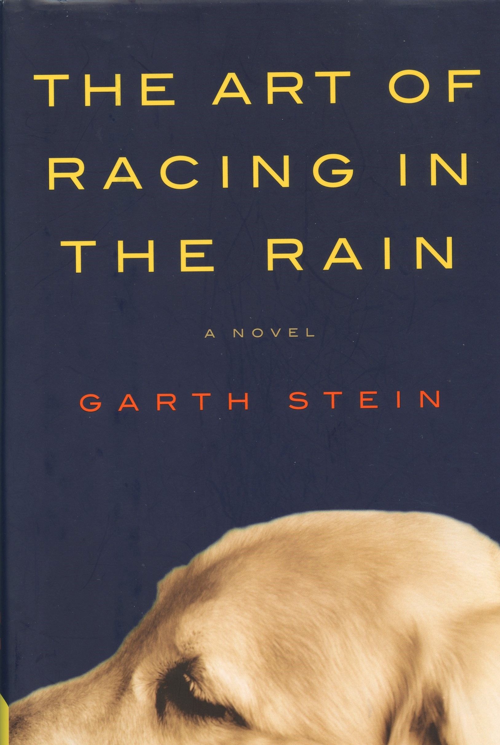 The Art of Racing in the Rain—The Movie