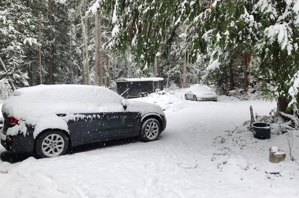 The Author's front yard in the recent snow.