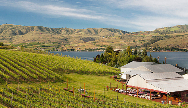 BBQ in the Vineyards at Lake Chelan Winery