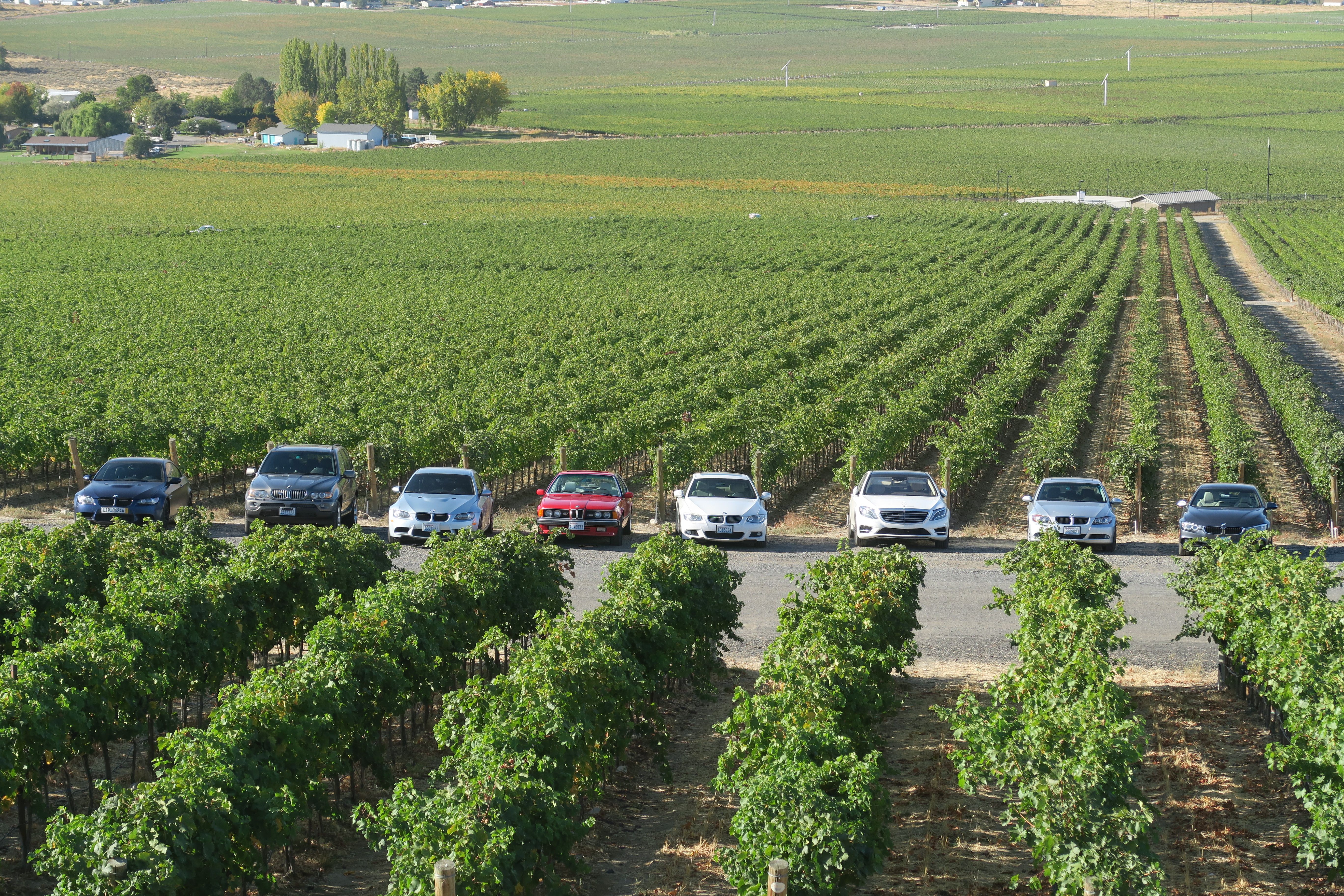 BMWs Amongst the Vines