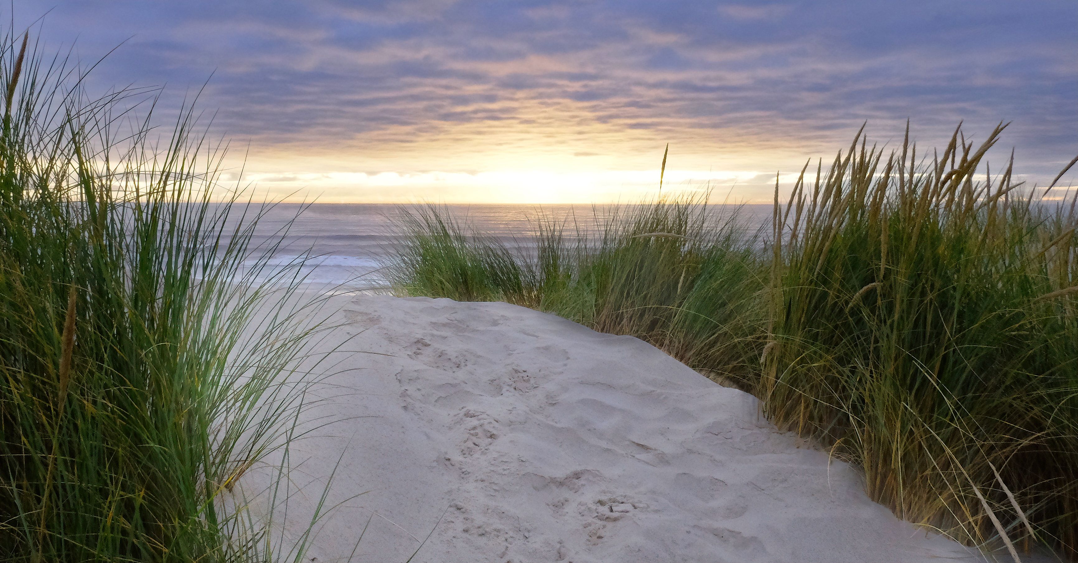 Oregon Beaches at sunset
