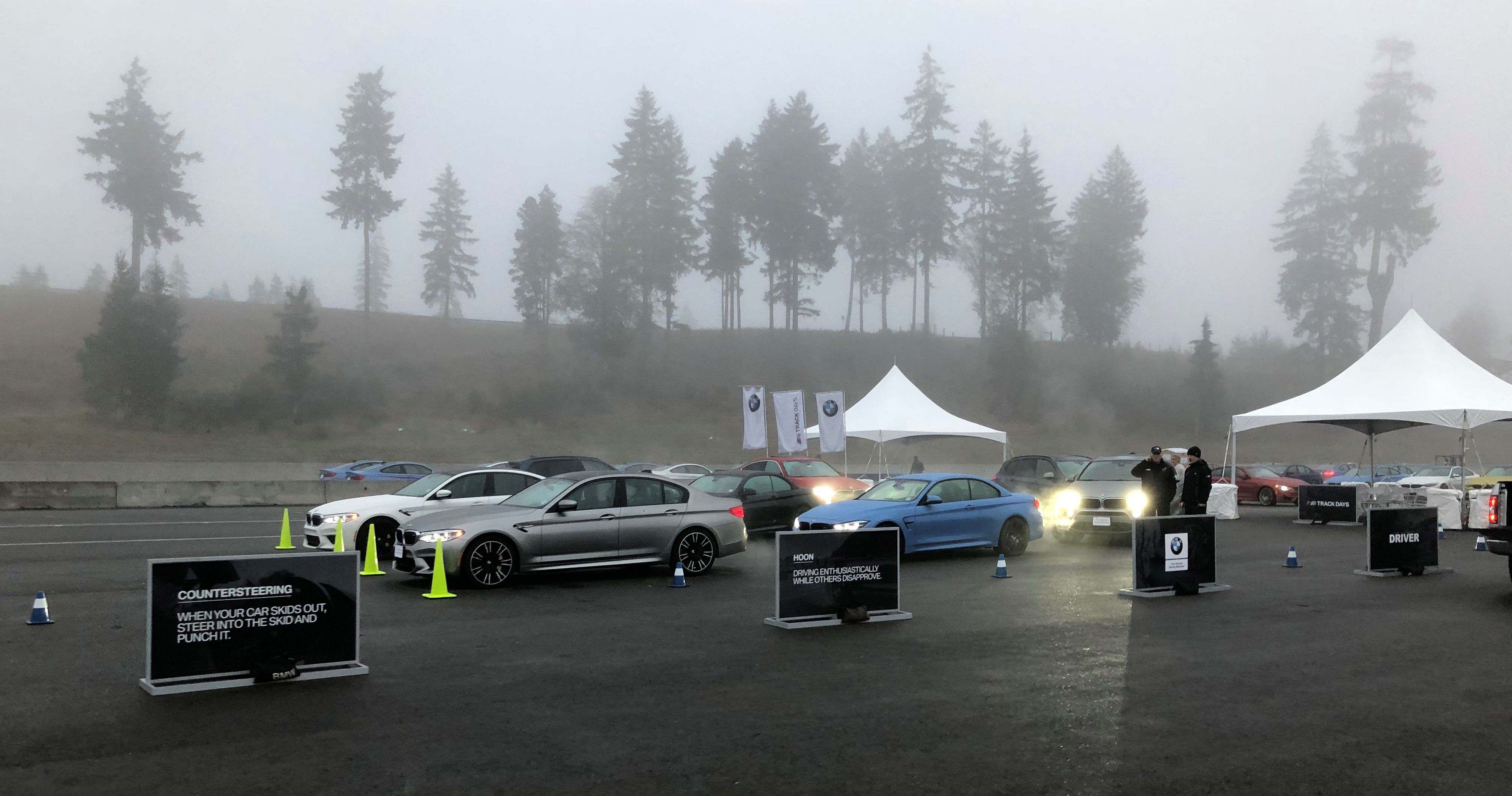 BMWs in the Fog