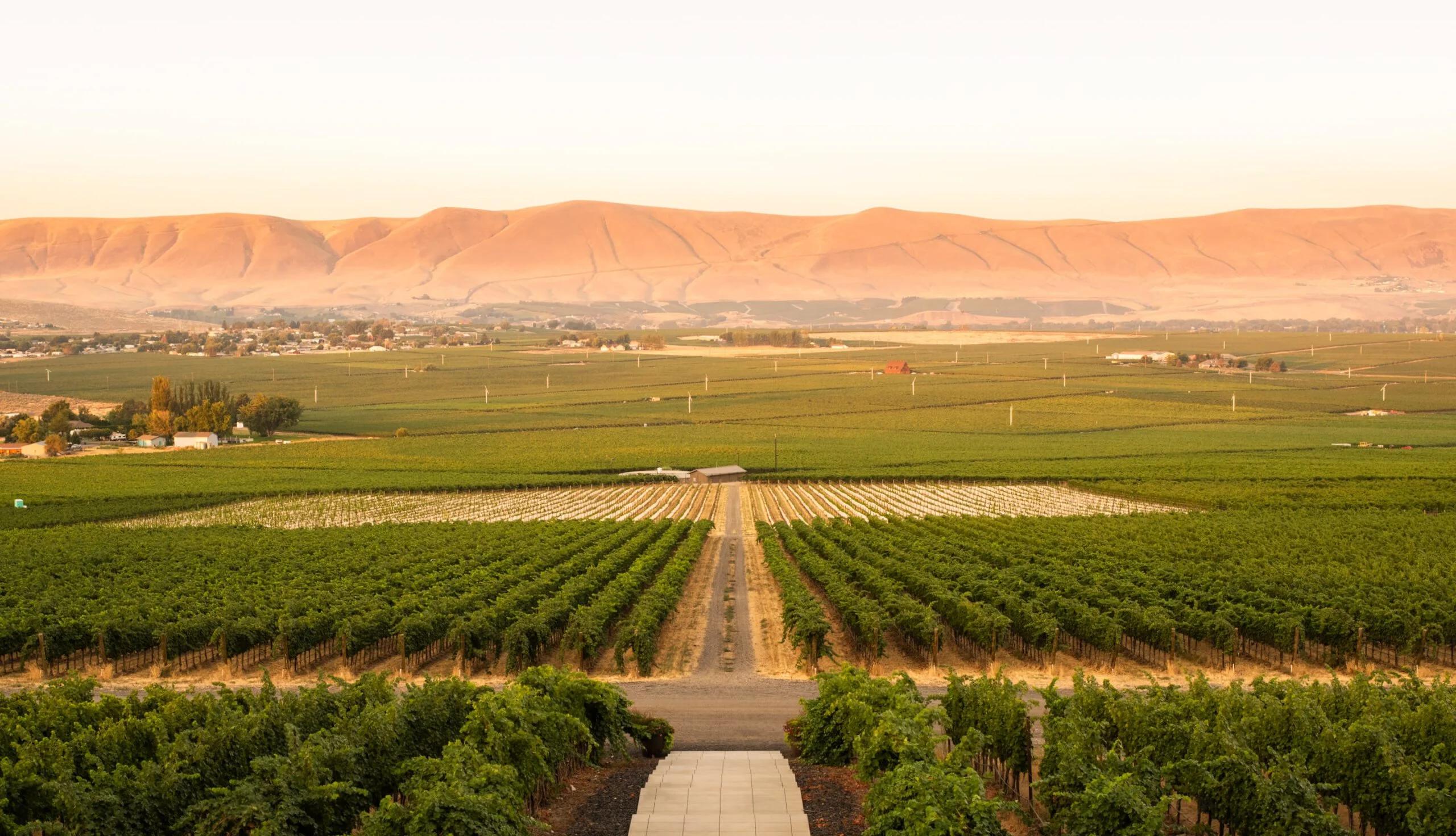 View of Red Mountain 