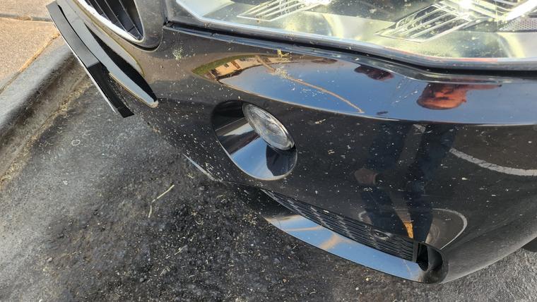 Doing our best to reduce the insect population.