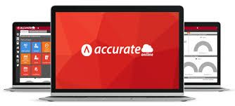 Introducing Accurate, Our Solution!